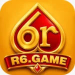 r6